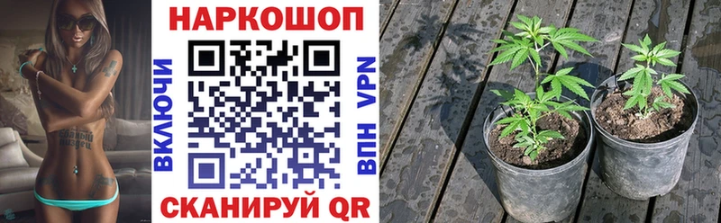 Магазины продажи наркотиков Камень-на-Оби Кокаин  Мефедрон  A PVP  МДМА  ГАШИШ 