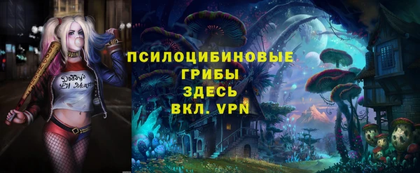 герыч Володарск