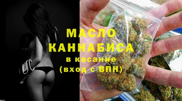 индика Струнино