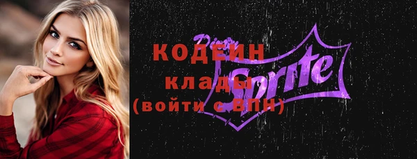 индика Струнино