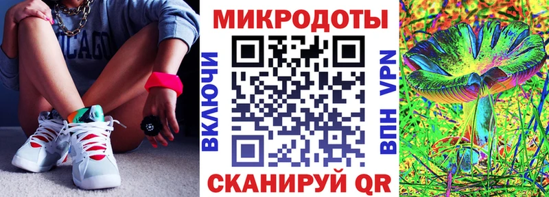 Галлюциногенные грибы ЛСД  дарнет шоп  Камень-на-Оби 